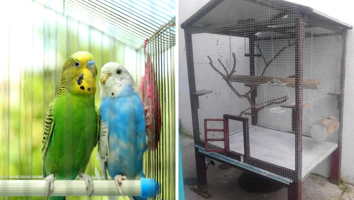 ¿Cómo hacer una jaula para pájaros con alambre?