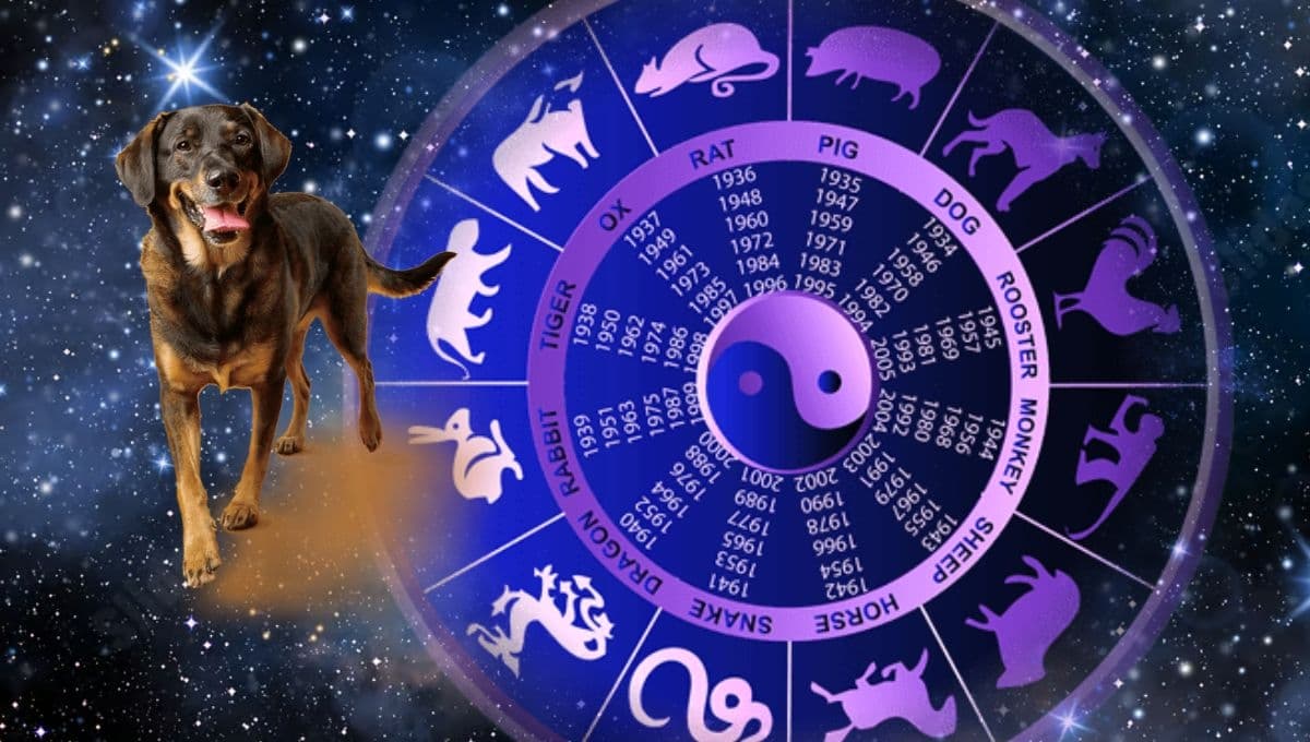 Horóscopo de tu perro: ¿Qué le espera a tu mascota hoy 18 de junio?