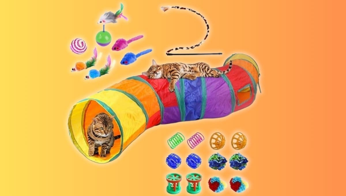 Amazon remata este kit de 20 juguetes para gato en menos de 200 pesos