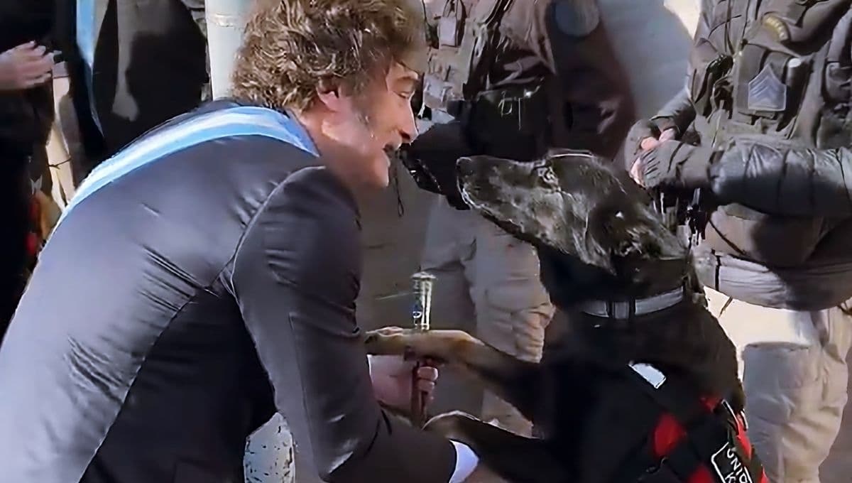 VIDEO: Javier Milei y perro protagonizan emotivo momento juntos
