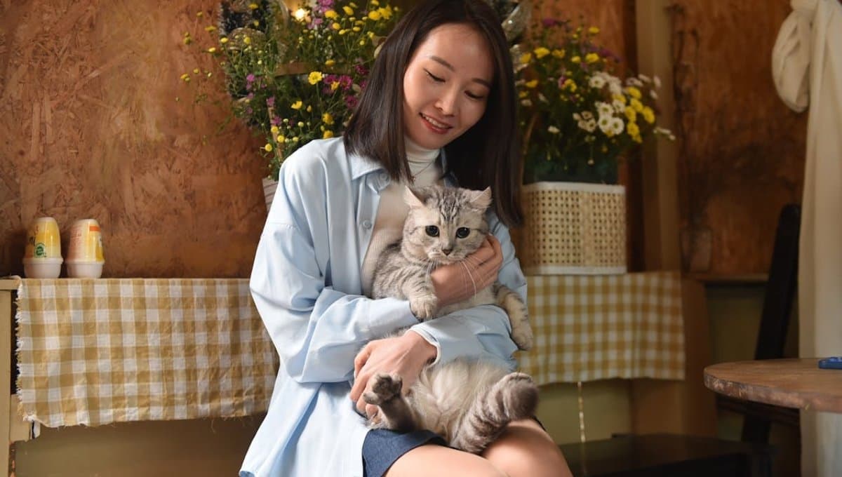 ¿Cuánto tiempo tarda un gato en olvidar a su dueño?