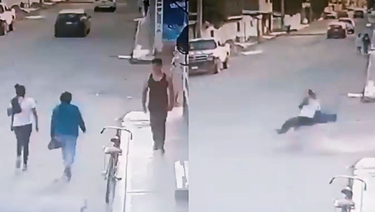 VIDEO confirma que sí existe el perro correcaminos