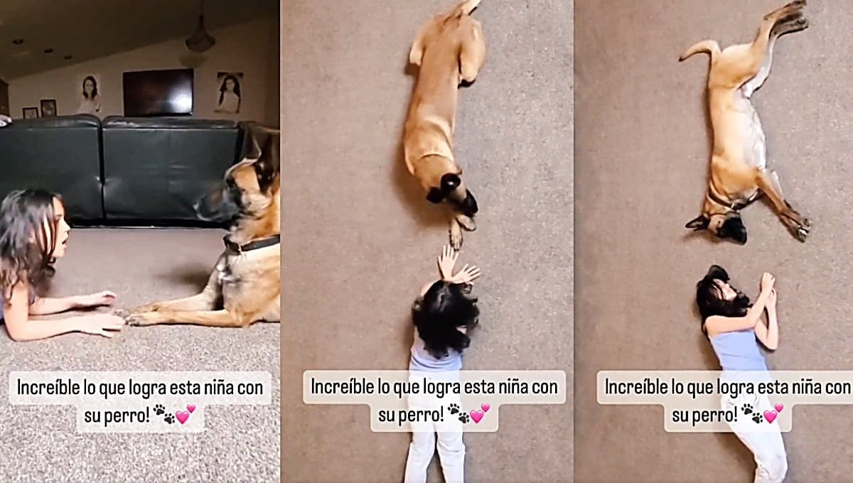 Niña y su perro protagonizan impresionante video