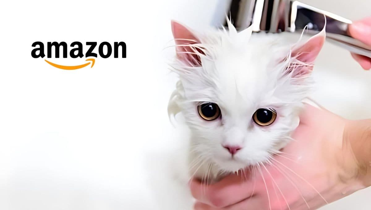 El shampoo para gatos antipulgas que deja el pelo suave y luminoso por menos de 50 pesos