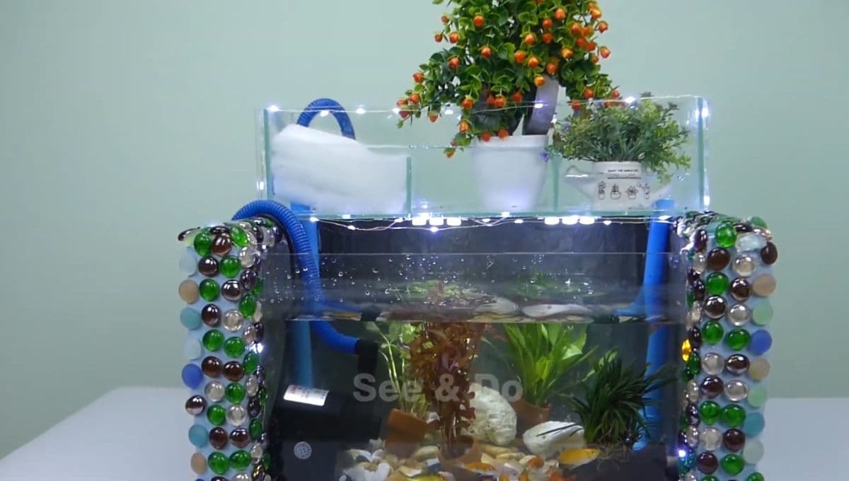 Así se hace una pecera con material reciclado: VIDEO