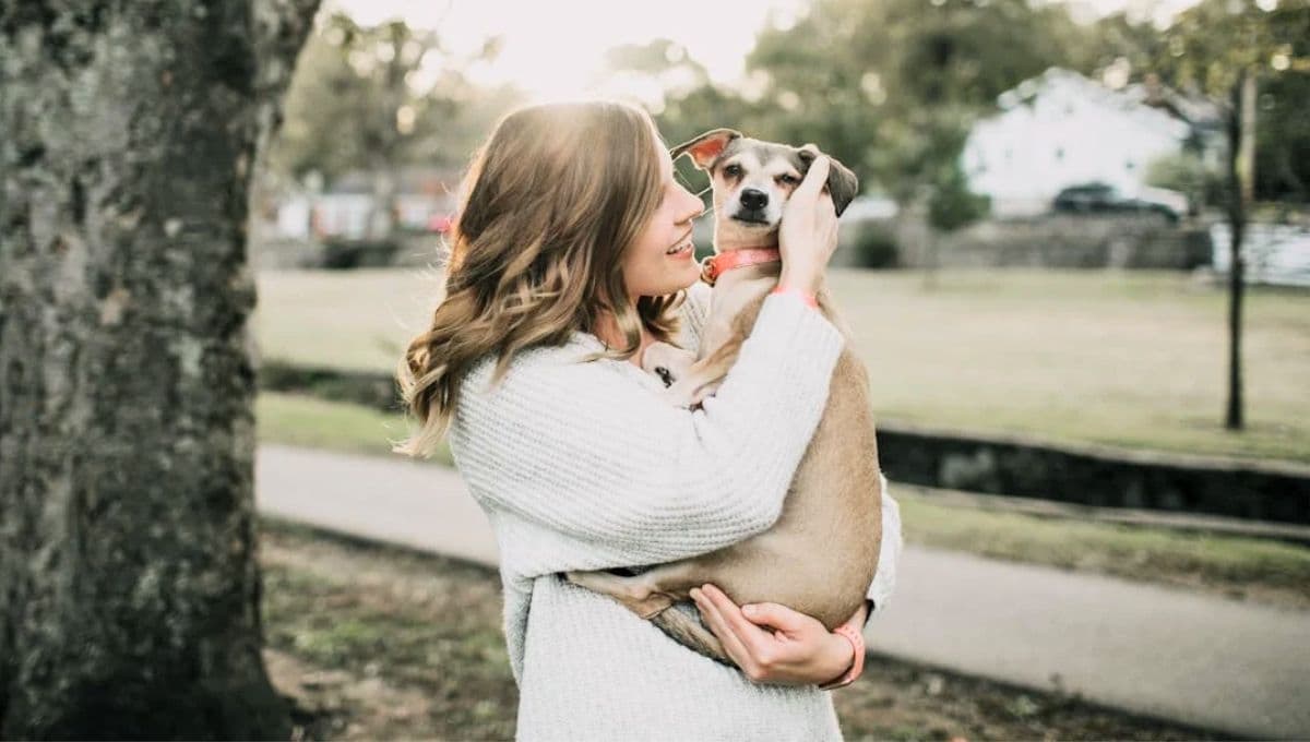 La razón por la que no debes abrazar a tu perro, según expertos