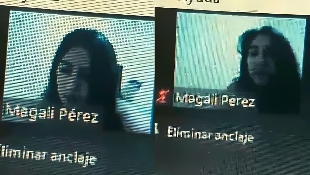 El divertido video de un gatito que ataca a su dueña durante una clase en línea