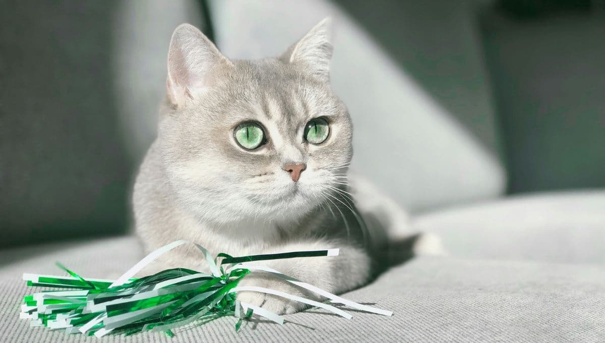 10 nombres egipcios para gatos: ideales para machos y hembras