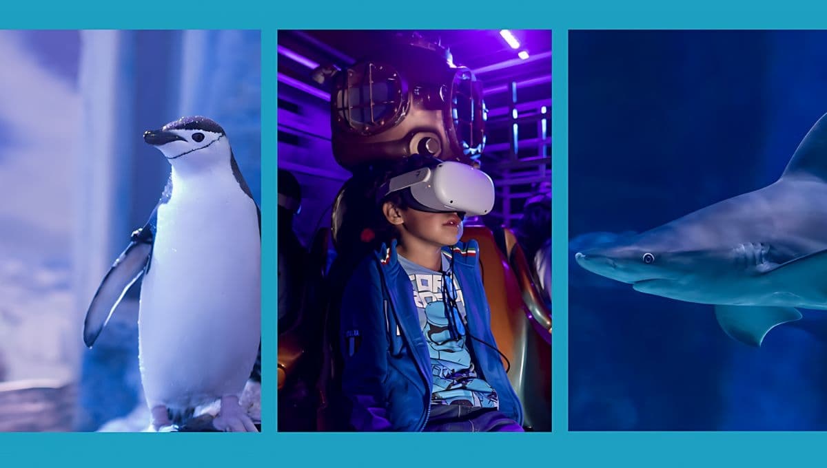 Super Acuario de Monterrey: Fecha de inauguración, precio de boletos y todo lo que debes saber