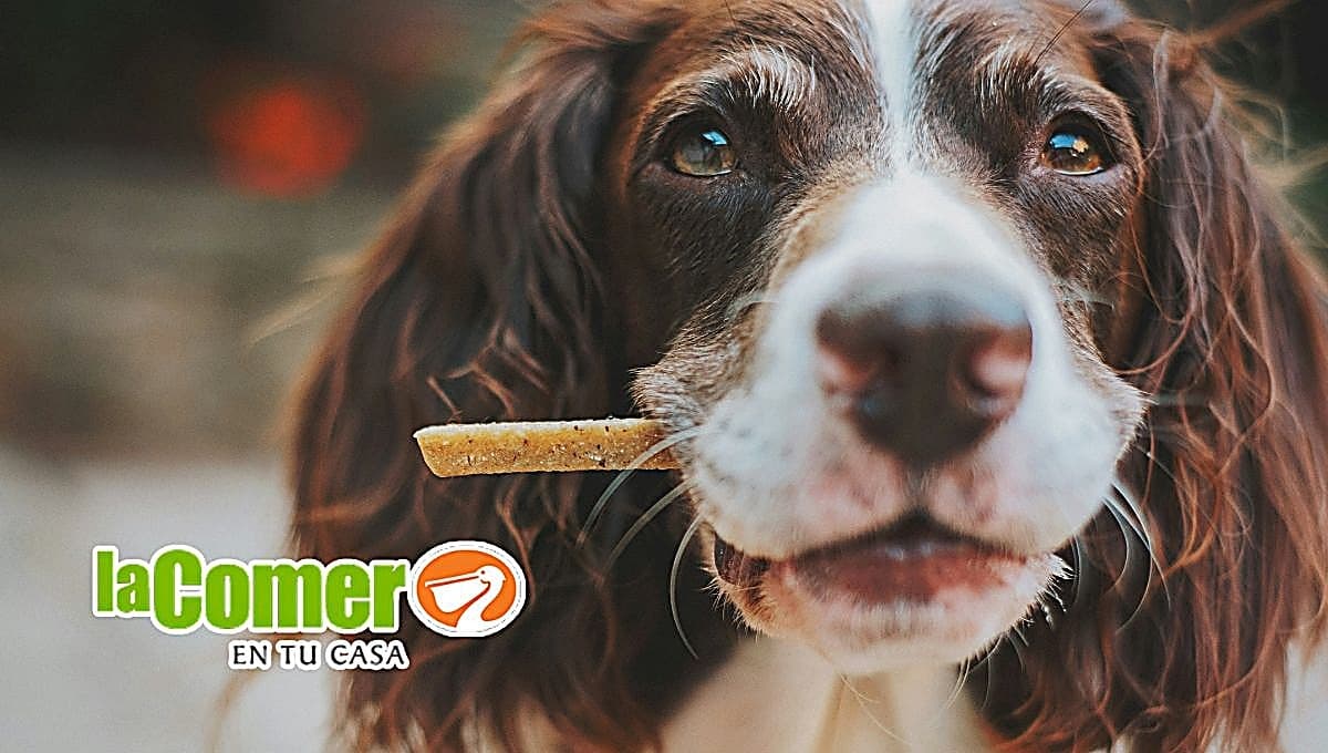 La Comer pone al 3×2 estos alimentos para perro