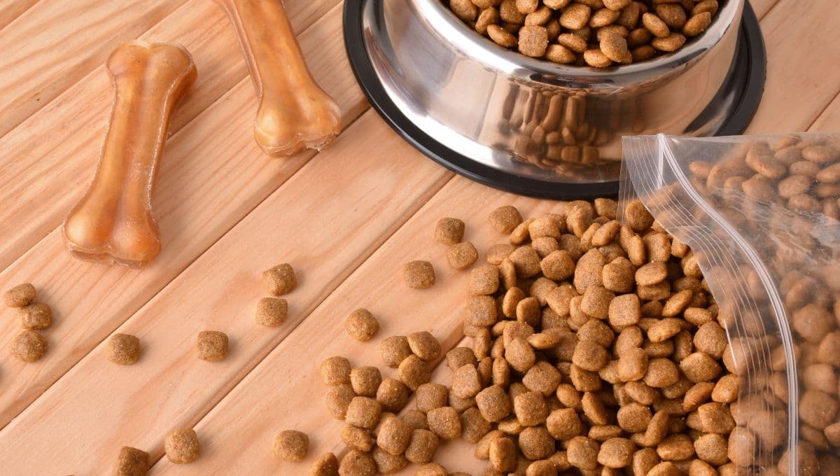 La receta para hacerle croquetas caseras a tu perro