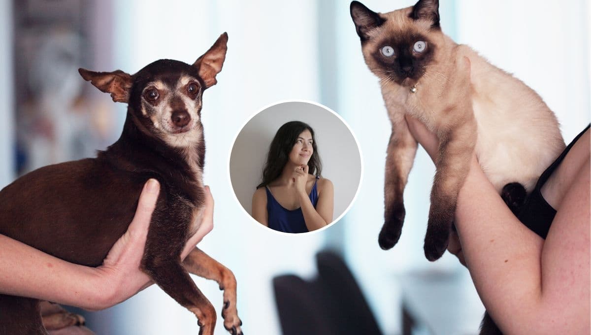 ¿Cuál es el animal más amigable del mundo?