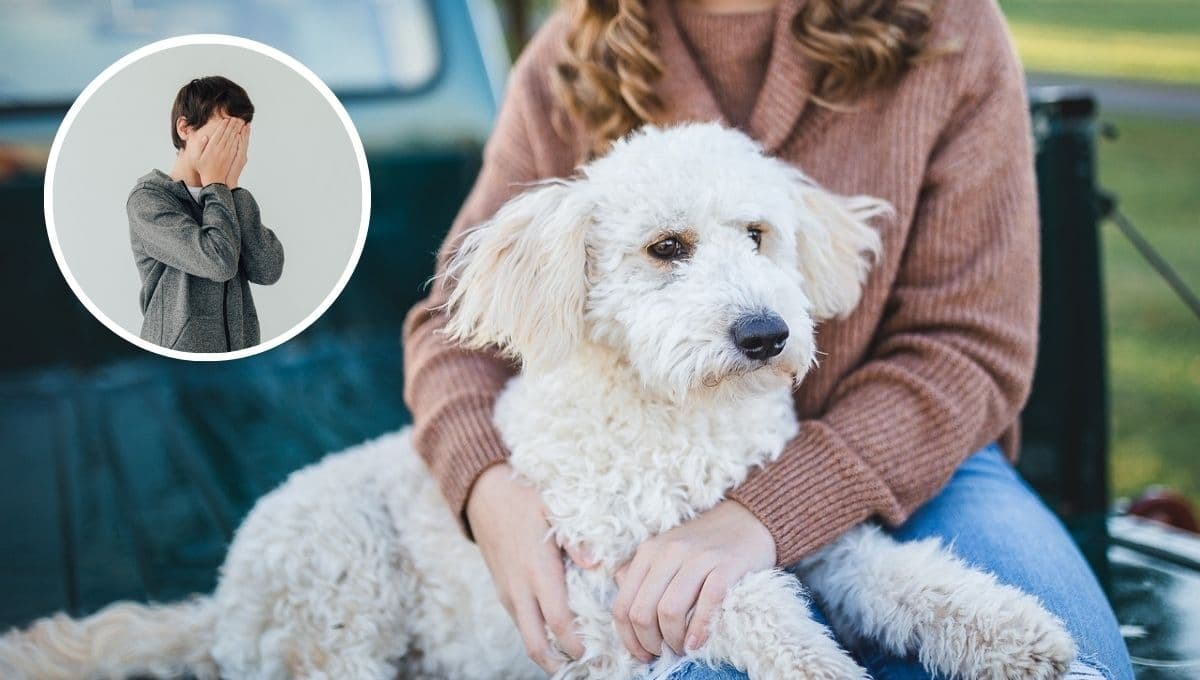 ¿Qué siente mi perro cuando lloro?