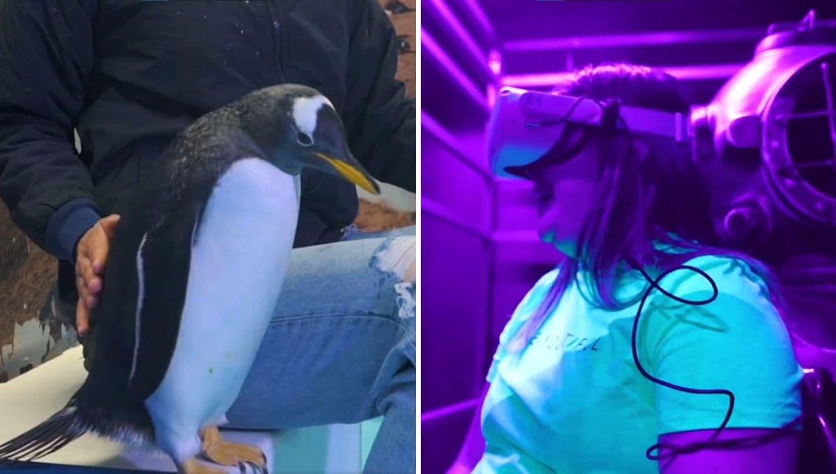 Super Acuario de Monterrey: Las actividades y dinámicas que puedes hacer con animales