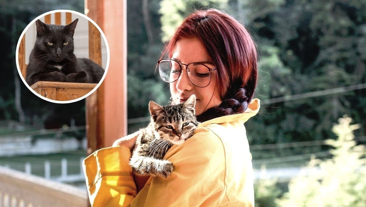 Con este sencillo TEST sabrás si tu gato te quiere