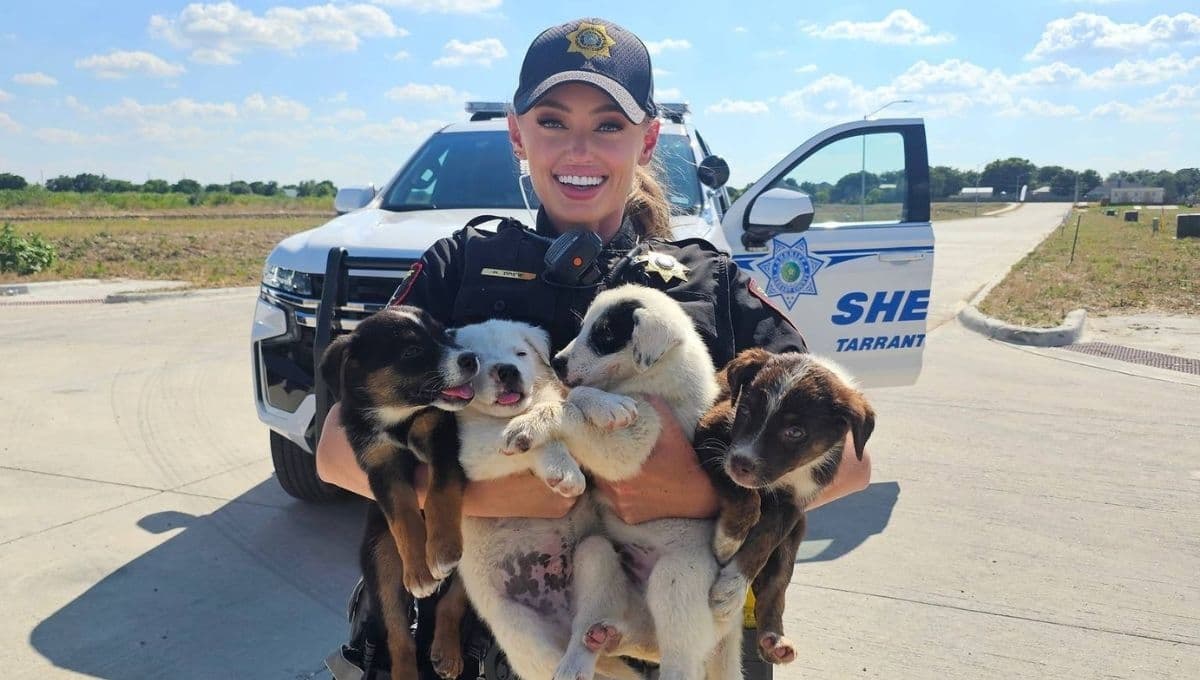 Así fue el rescate de ocho cachorros abandonados sin agua y con calor: VIDEO
