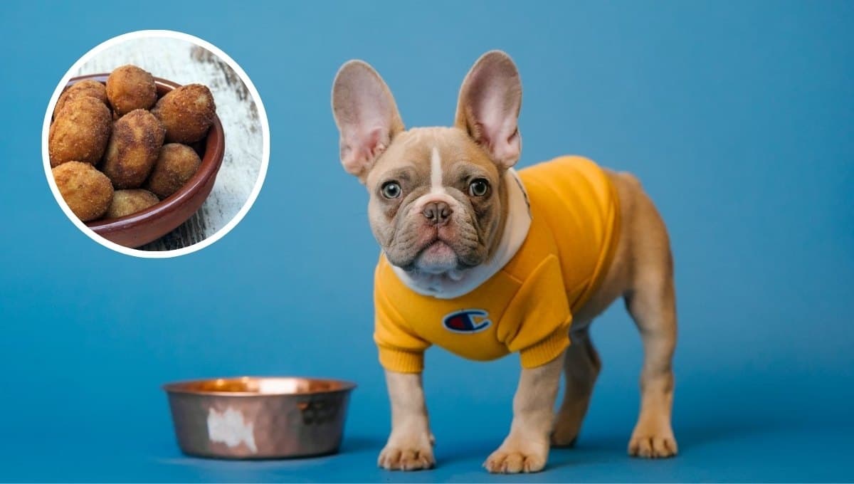 Receta para hacerle croquetas de pollo a tu perro: Ingredientes