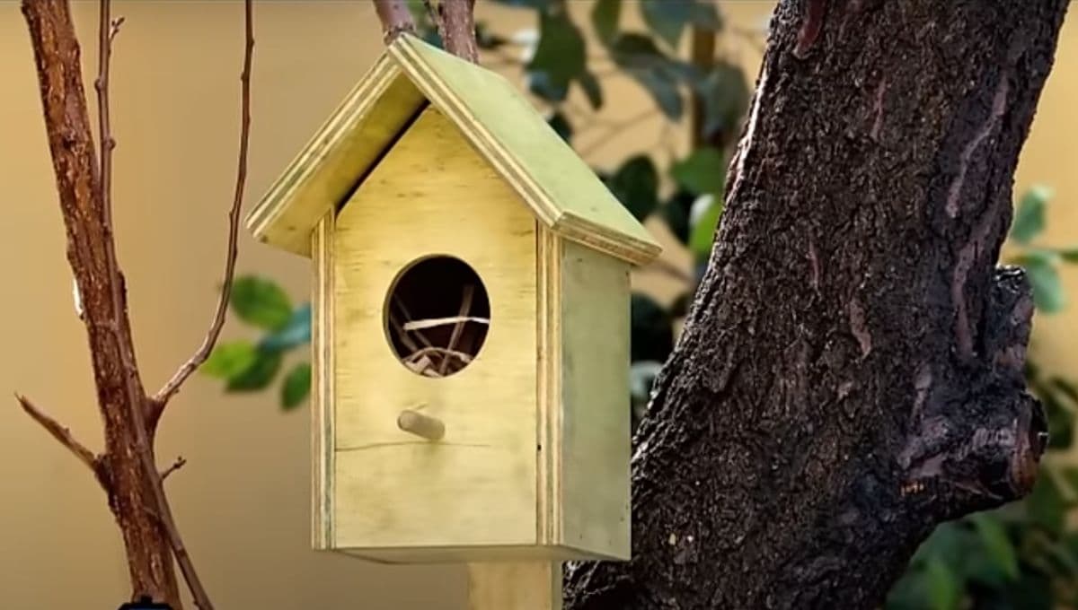 Usa material reciclado para hacer una casita de canario