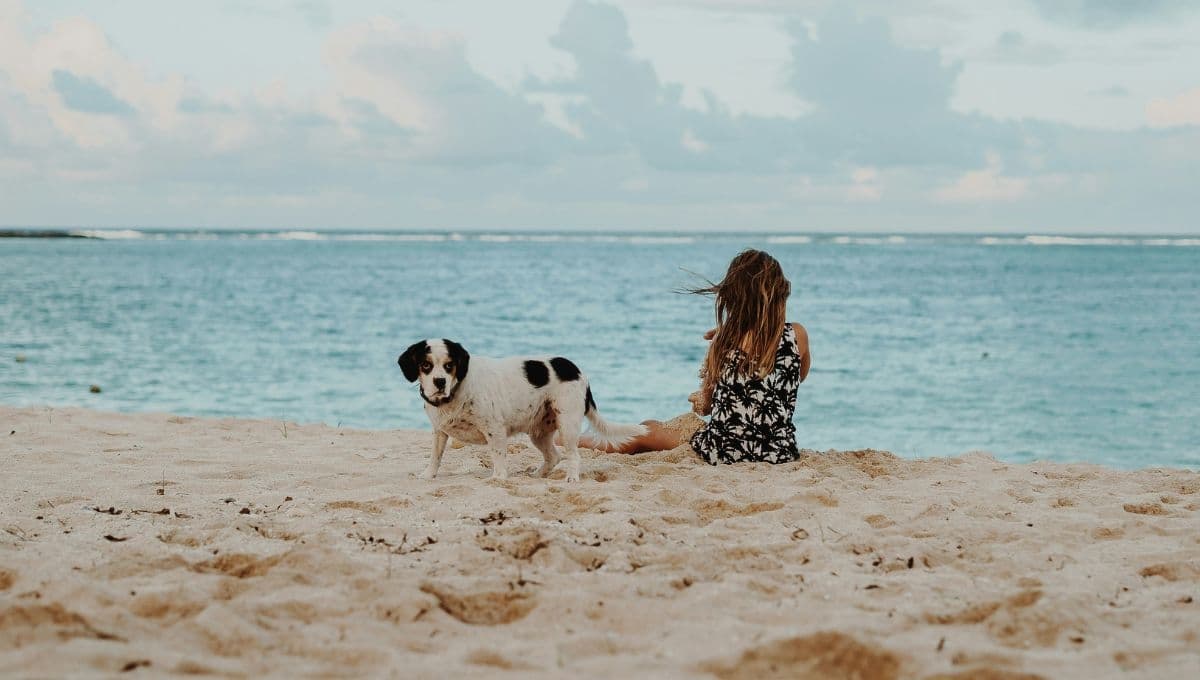 5 hoteles pet friendly en Cancún para las vacaciones de verano 2024