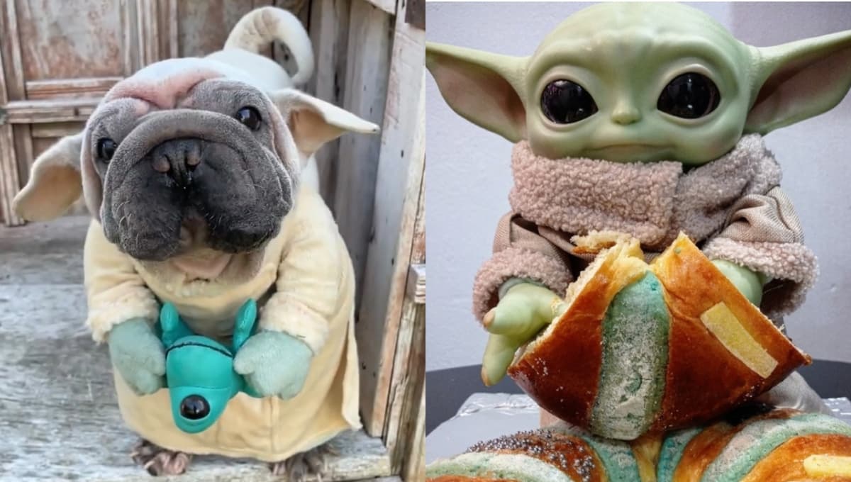 10 nombres bonitos para perros inspirados en personajes de series