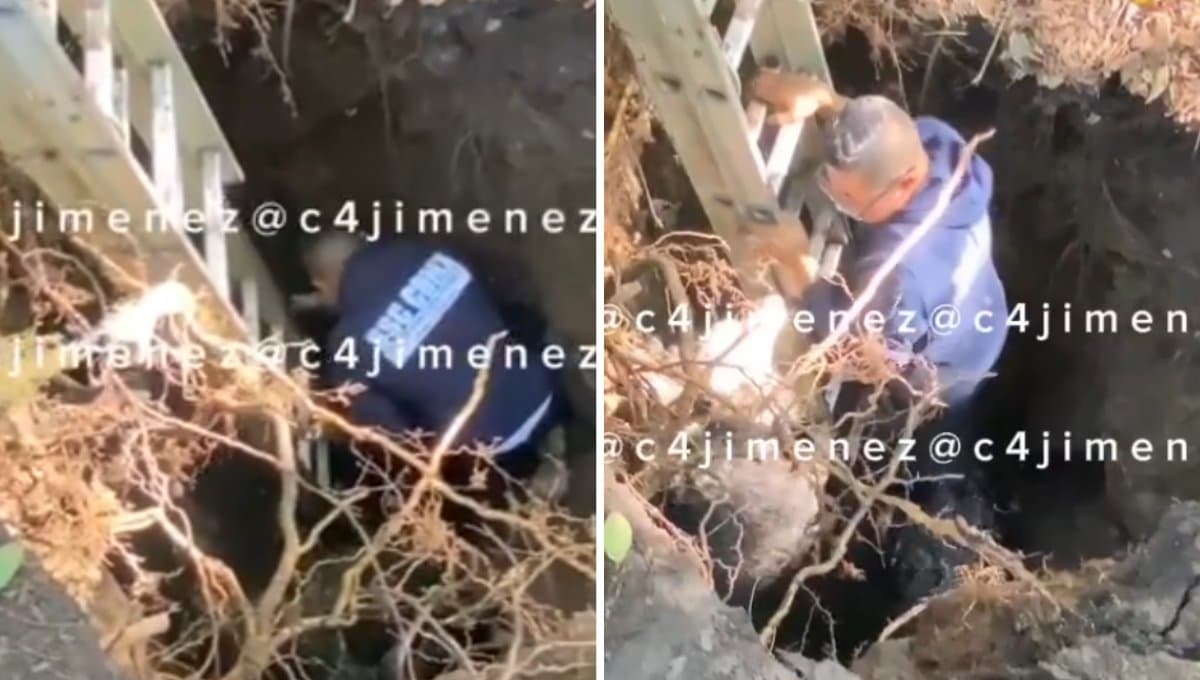 VIDEO: Policía se viste de héroe tras salvar a un perro en un socavón