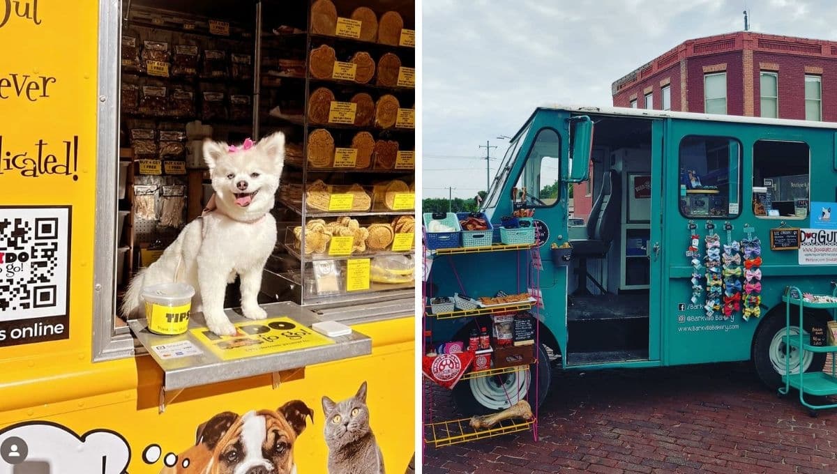 Así son los food trucks para perros que son sensación en internet