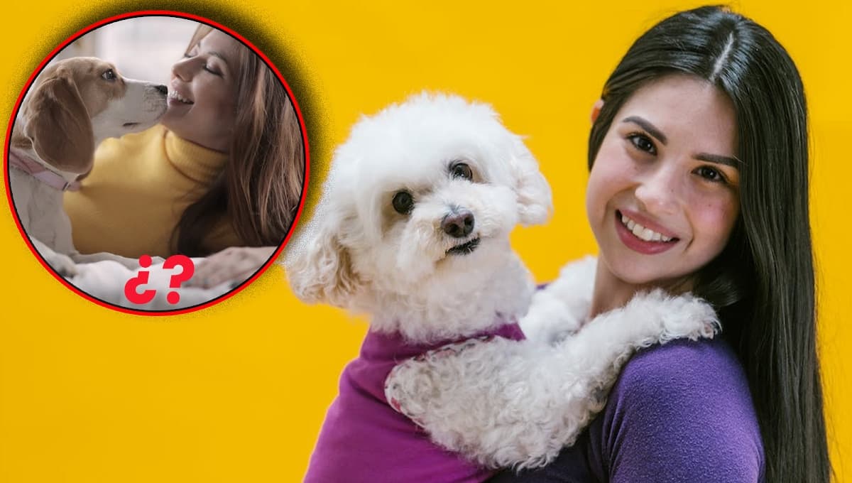 ¿Por qué mi perro me sigue a todos lados en la casa?