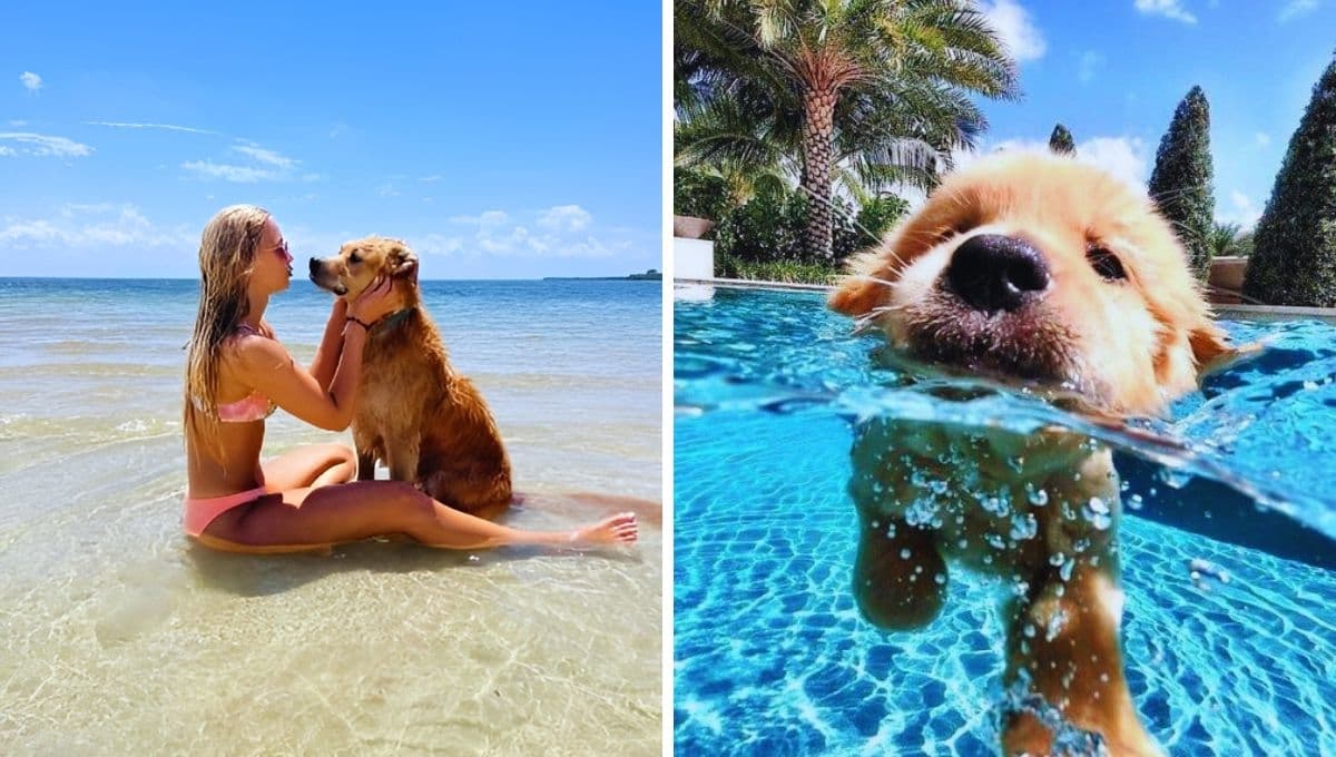 5 hoteles pet friendly en Puerto Escondido para las vacaciones de verano 2024