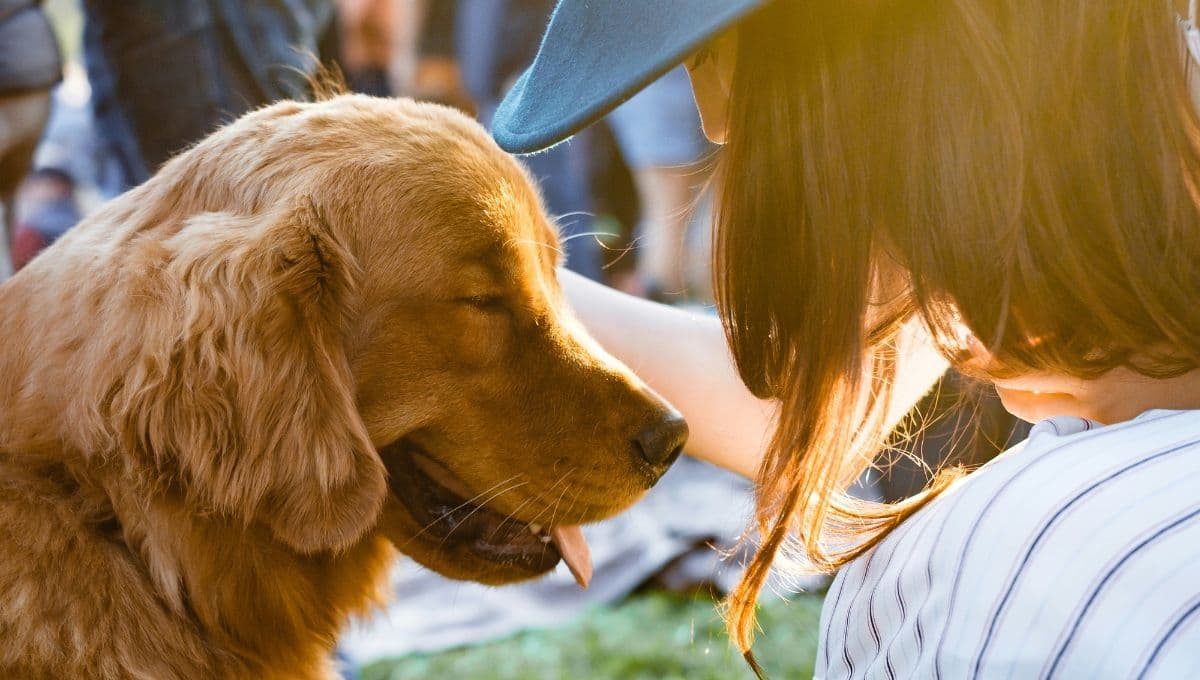 5 hoteles pet friendly en Valle de Bravo para las vacaciones de verano 2024