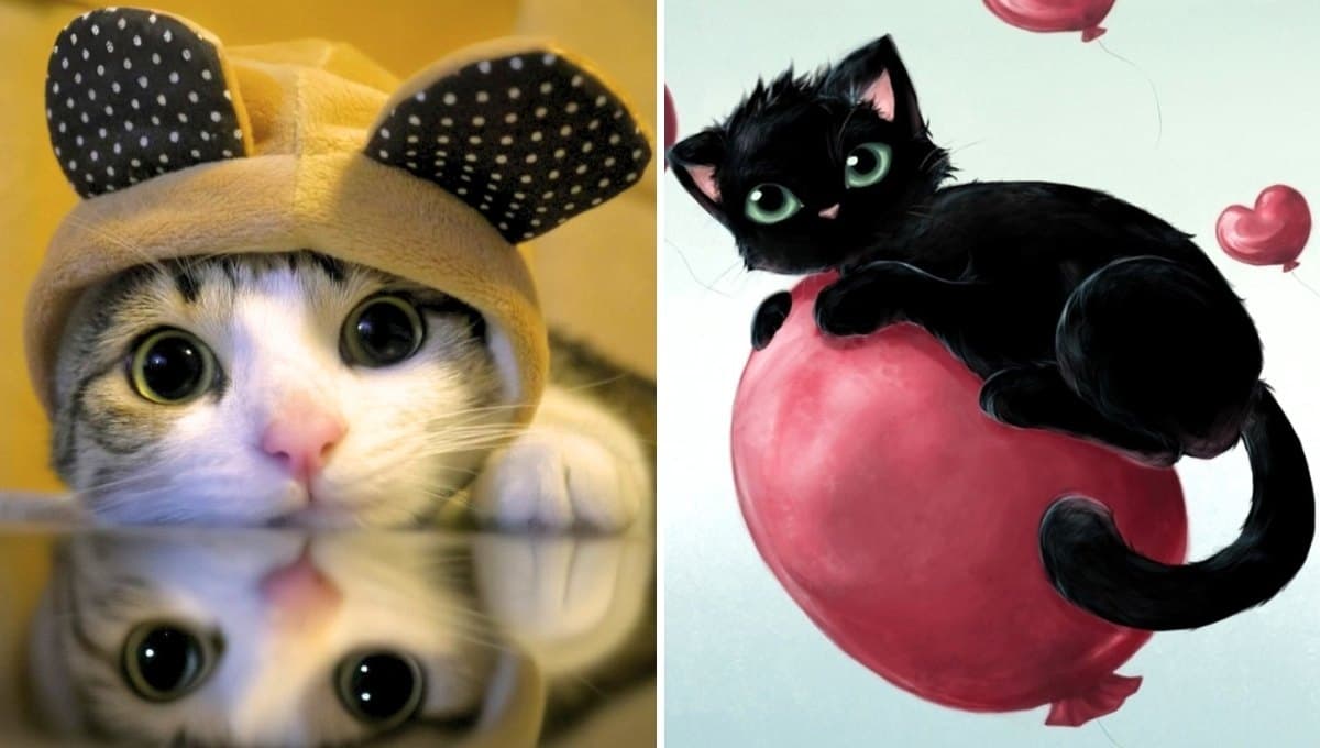 10 fotos de gatitos bonitos para fondo de pantalla en tu celular