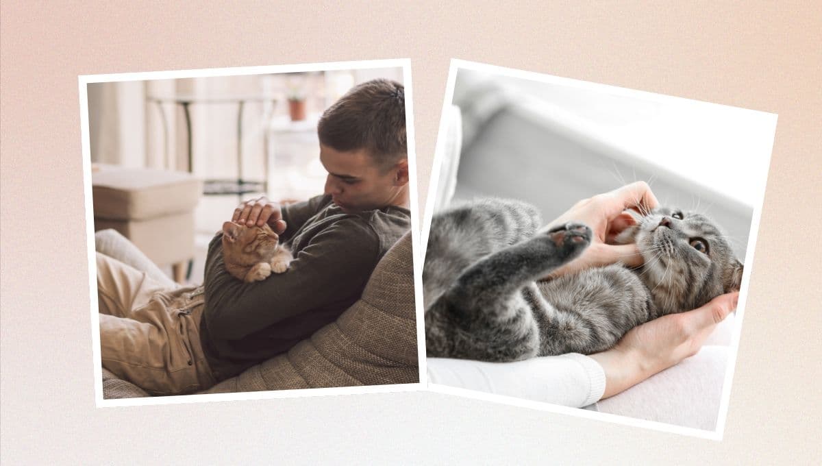 Las 5 formas en las que tu gato te demuestra que te quiere