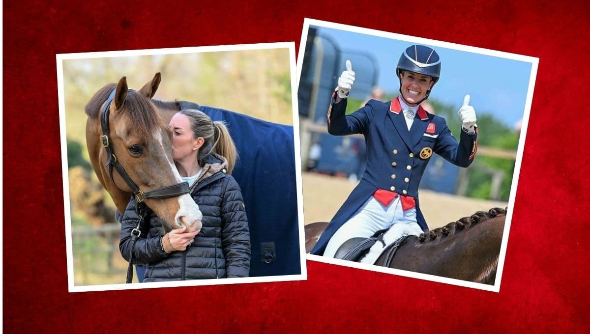 Exhiben maltrato animal en pruebas ecuestres de París 2024