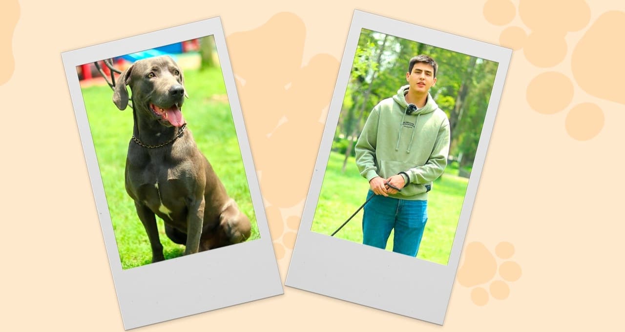 Los beneficios de pasear a tu mascota: así lo revela Adolfo