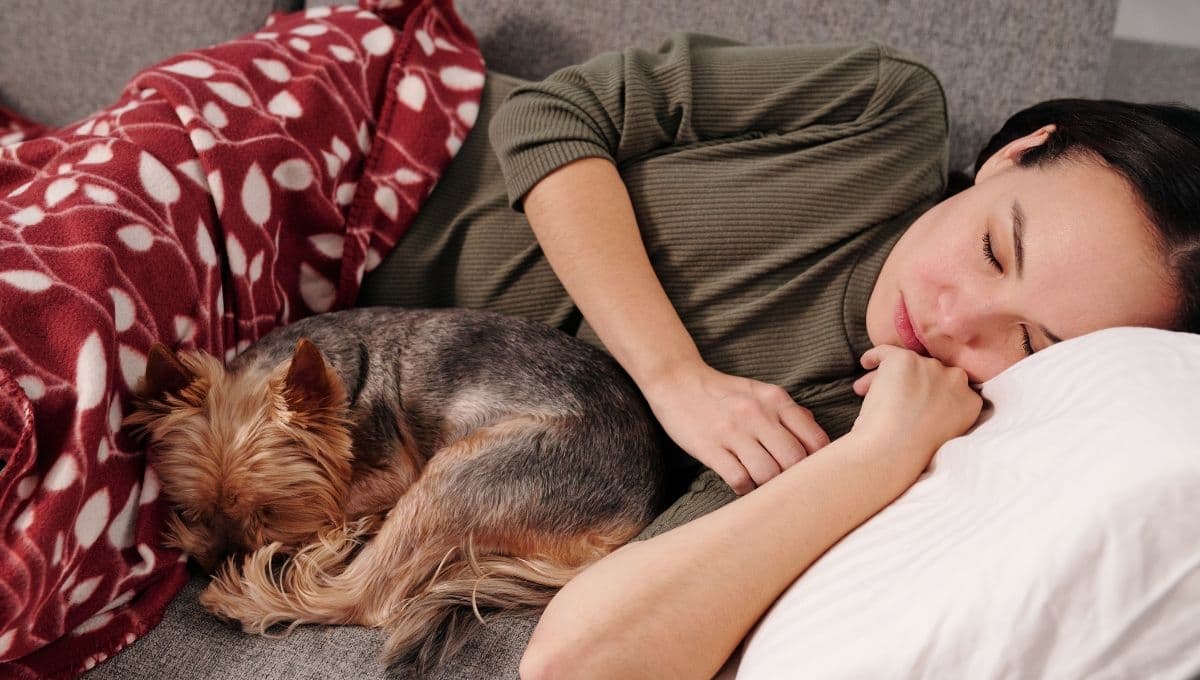 ¿Qué significa que mi perro duerma a mi lado, según expertos?