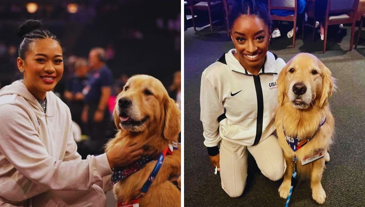Así es como el perro Beacon ayuda a la salud mental de Simone Biles