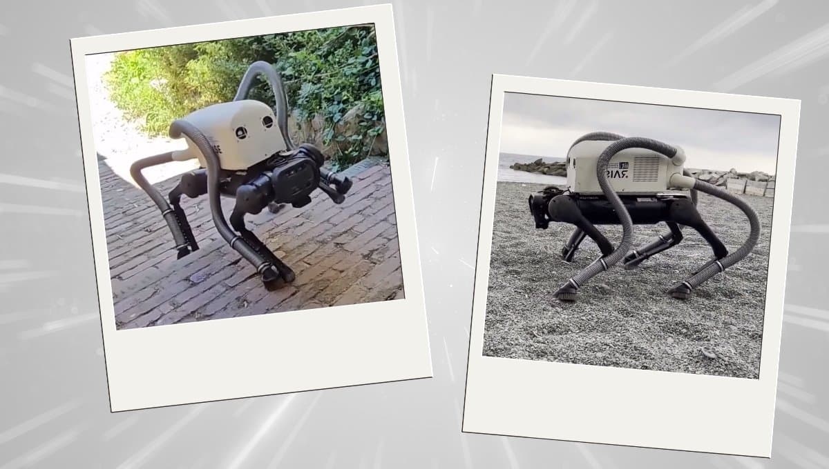Conoce al perro robot que ayuda a limpiar las calles y las playas