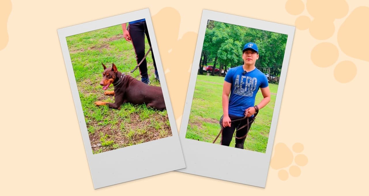 Los perros sin hogar merecen ser adoptados: Josué