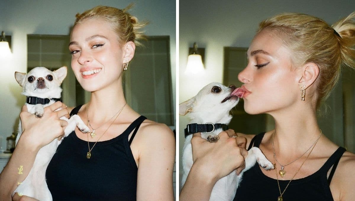 Muere perrita de la actriz Nicola Peltz Beckham por culpa de estilista