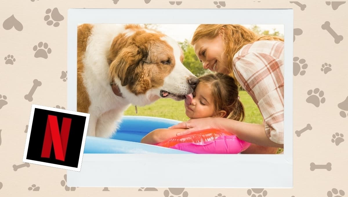 La película de Netflix que te mostrará lo más lindo de tener un perro