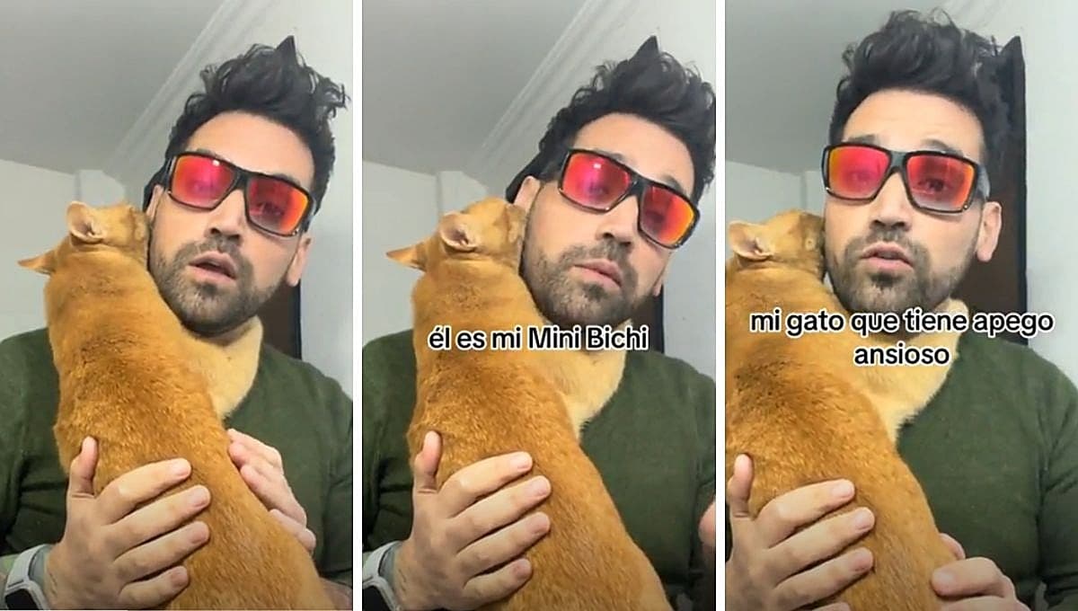 VIDEO: Gato tiene “apego ansioso”, así lo demuestra
