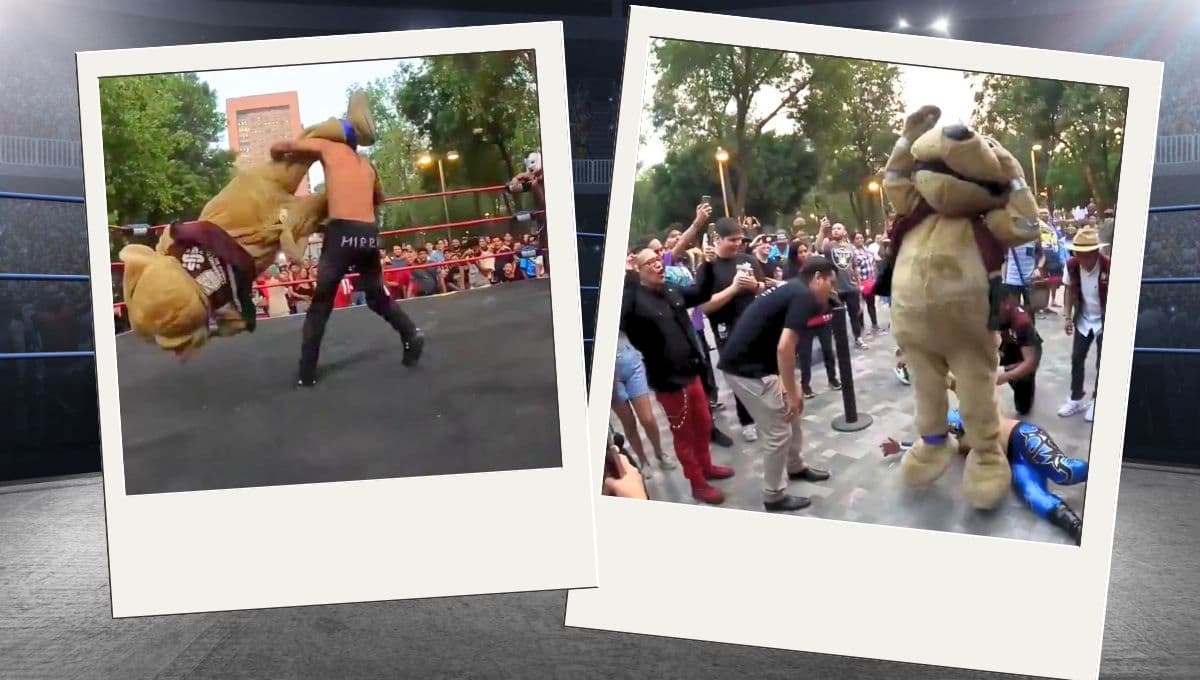 Conoce a Wisin, el perro luchador que se ha vuelto viral