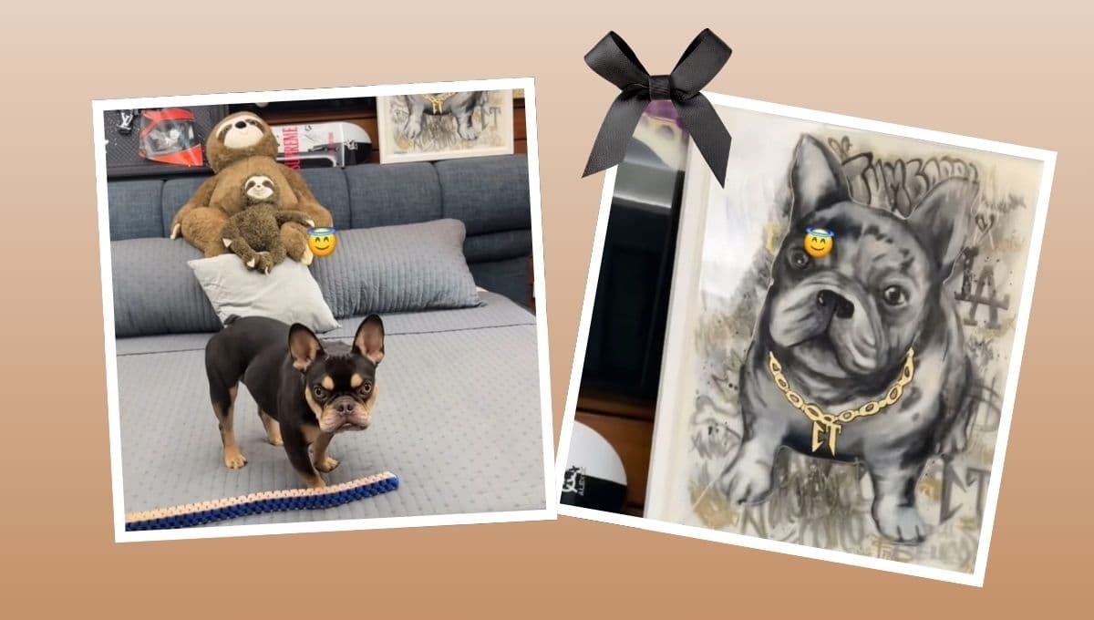Muere el perrito de Natanael Cano: así lo despidió