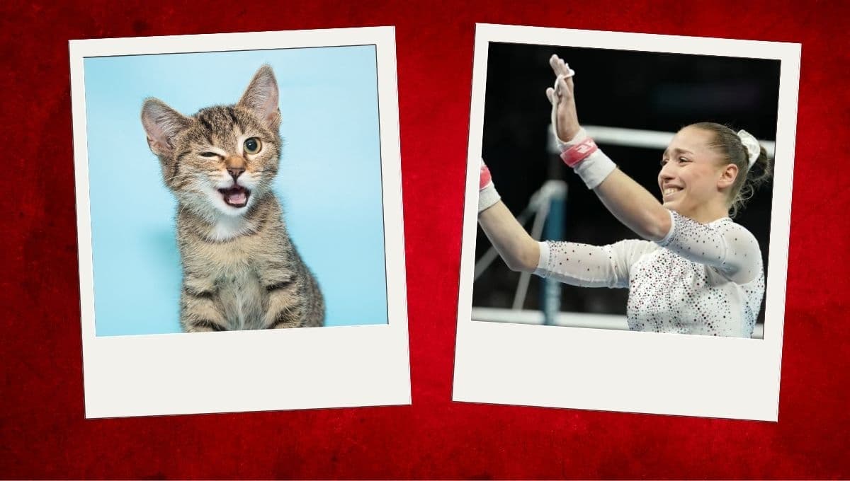 Así salvó un gato a la atleta Kaylia Nemour tras triunfar en París 2024