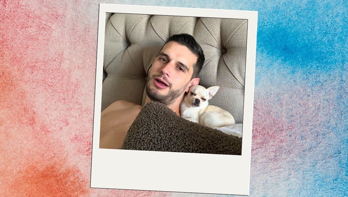 Así fue la trágica muerte del perrito de Adrián Marcelo: VIDEO