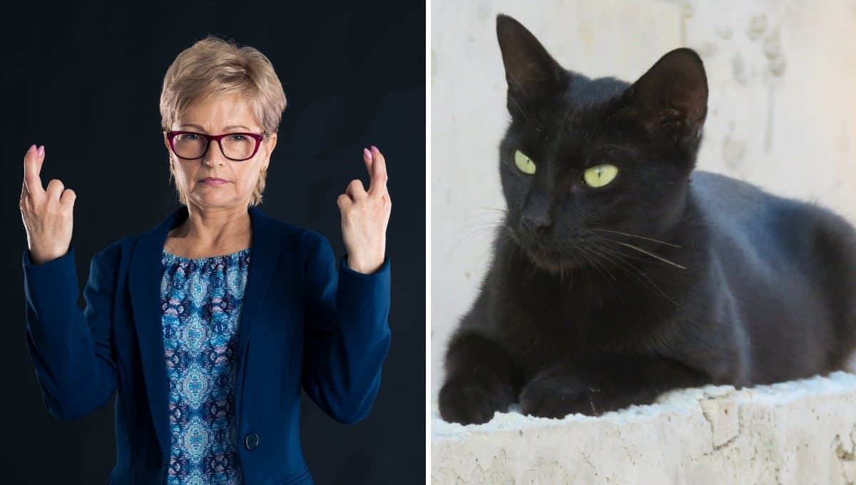 Martes 13: ¿Es de buena o mala suerte ver a un gato negro?