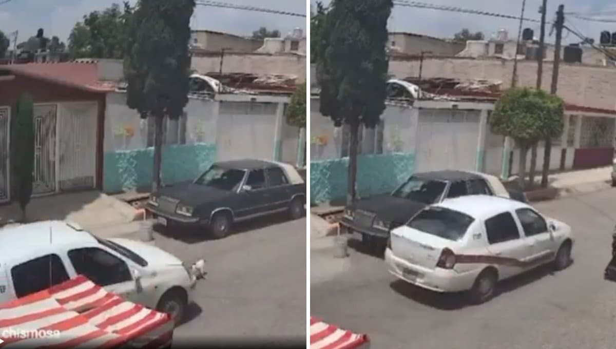 Taxista atropella a perrito en Ecatepec: VIDEO