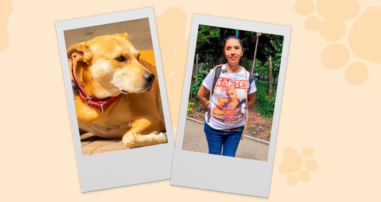 Ella es Sandra y su gran historia como cuidadora: adoptó a tres perros