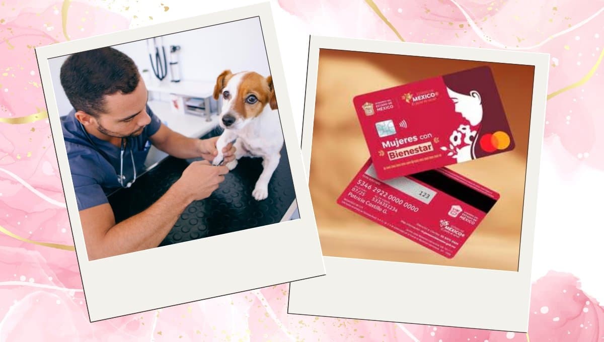 Mujeres con Bienestar: ¿Cómo tener asistencia veterinaria para mi mascota?