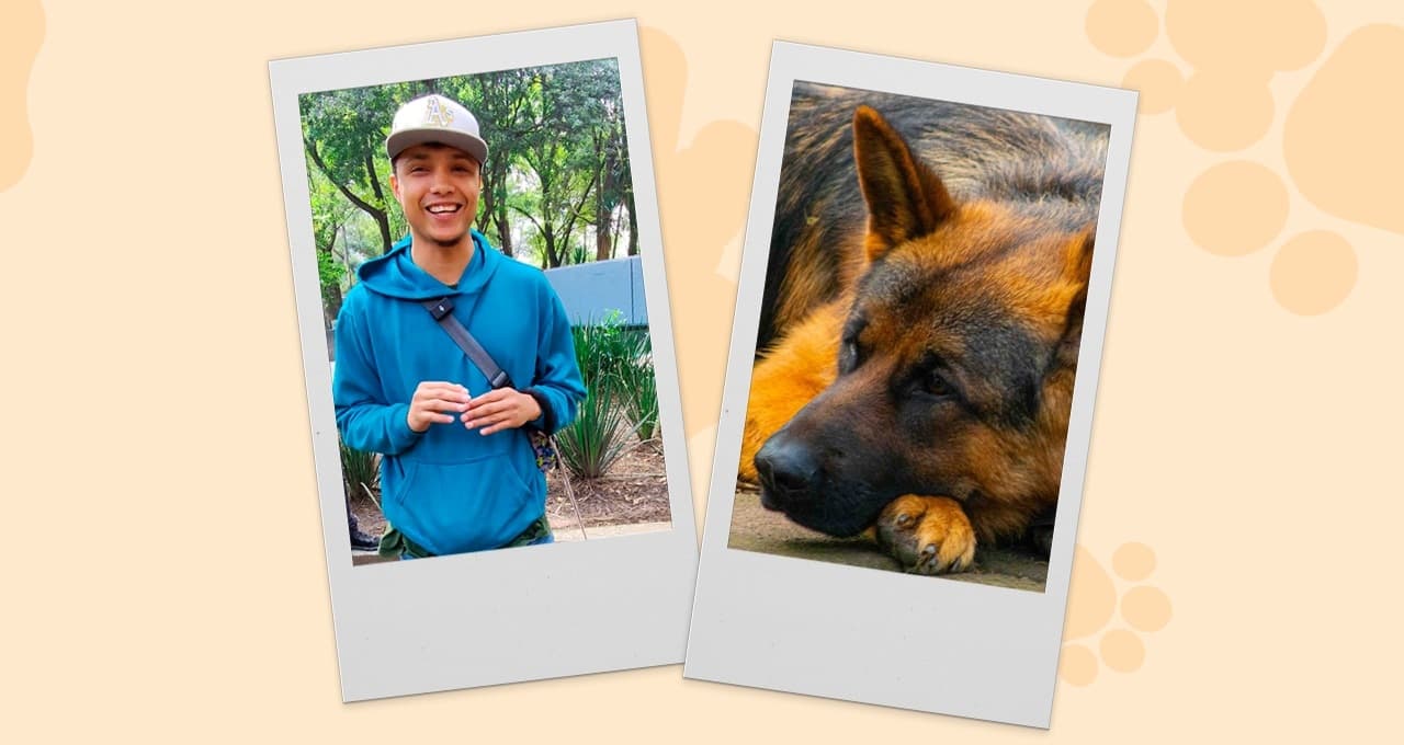 Conoce a Jesús y su labor como cuidador de perritos