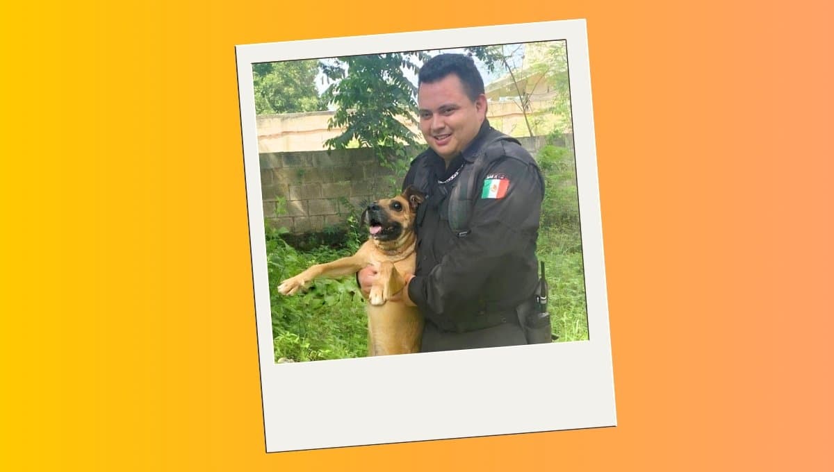 Así rescataron a un perro ciego que cayó en un sumidero en Yucatán